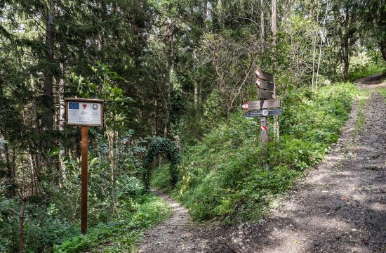 Ausbau des Jägersteigs in Rodeneck