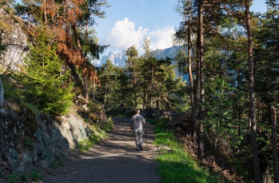 Leader Wanderweg Teis