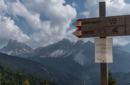 Neue Trasse für den „Woody Walk“ auf der Plose